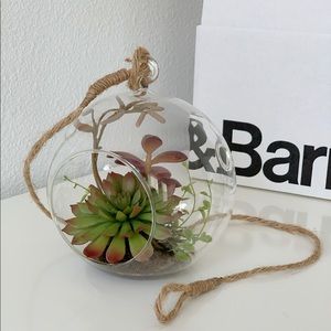 Crate and Barrel Artificial Plant Terrarium